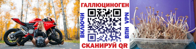 Галлюциногенные грибы GOLDEN TEACHER  Иркутск 